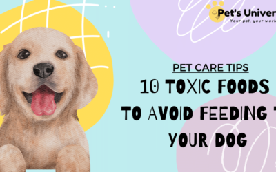 Pet care tips: 10 Toxic foods to avoid feeding to your dog