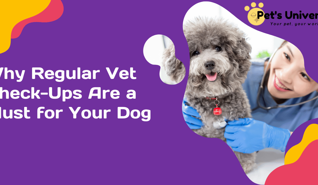 Why Regular Vet Check-Ups Are a Must for Your Dog