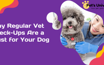 Why Regular Vet Check-Ups Are a Must for Your Dog