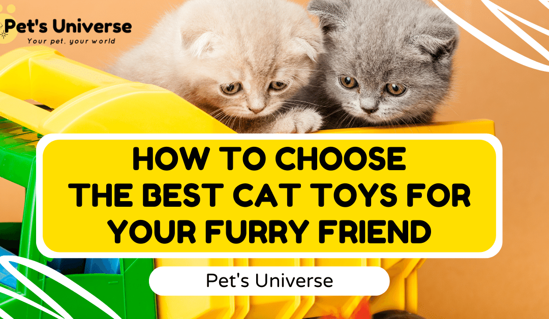 How to Choose the Best Cat Toys for Your Furry Friend