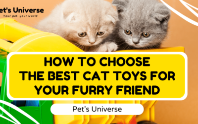 How to Choose the Best Cat Toys for Your Furry Friend