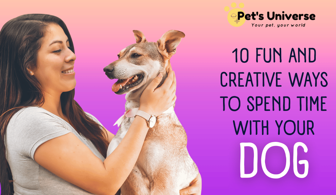 10 Fun and creative ways to spend time with your dog