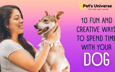 10 Fun and creative ways to spend time with your dog