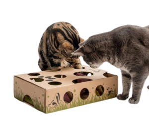 IntelliCat: The Intelligent Pet Toy for Cats