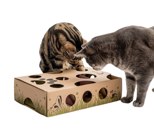 IntelliCat: The Intelligent Pet Toy for Cats