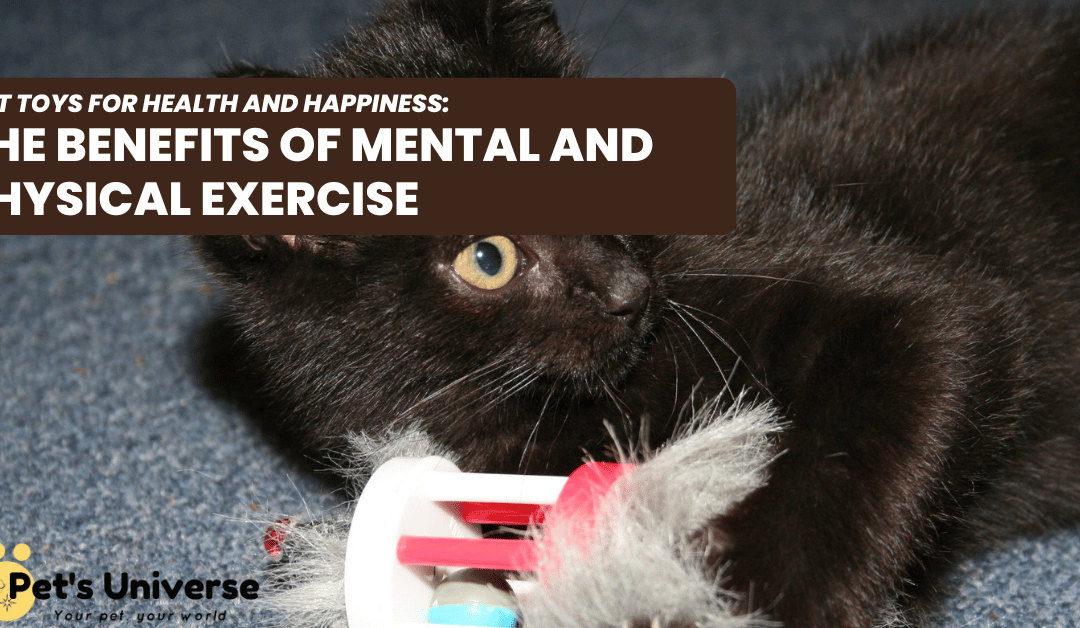 Cat Toys for Health and Happiness: The Benefits of Mental and Physical Exercise