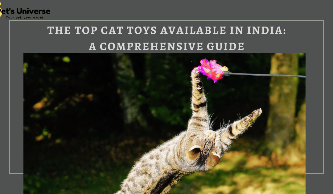 The Top Cat Toys Available in India: A Comprehensive Guide