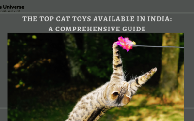 The Top Cat Toys Available in India: A Comprehensive Guide