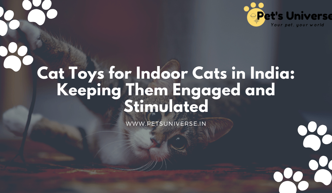 Cat Toys for Indoor Cats in India: Keeping Them Engaged and Stimulated