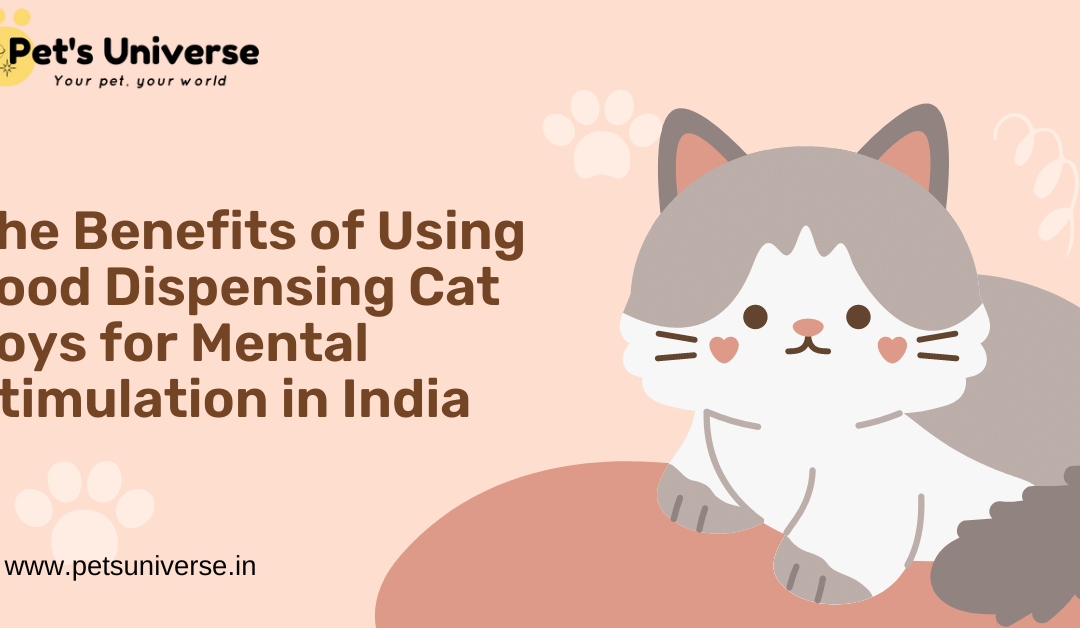 The Benefits of Using Food Dispensing Cat Toys for Mental Stimulation in India