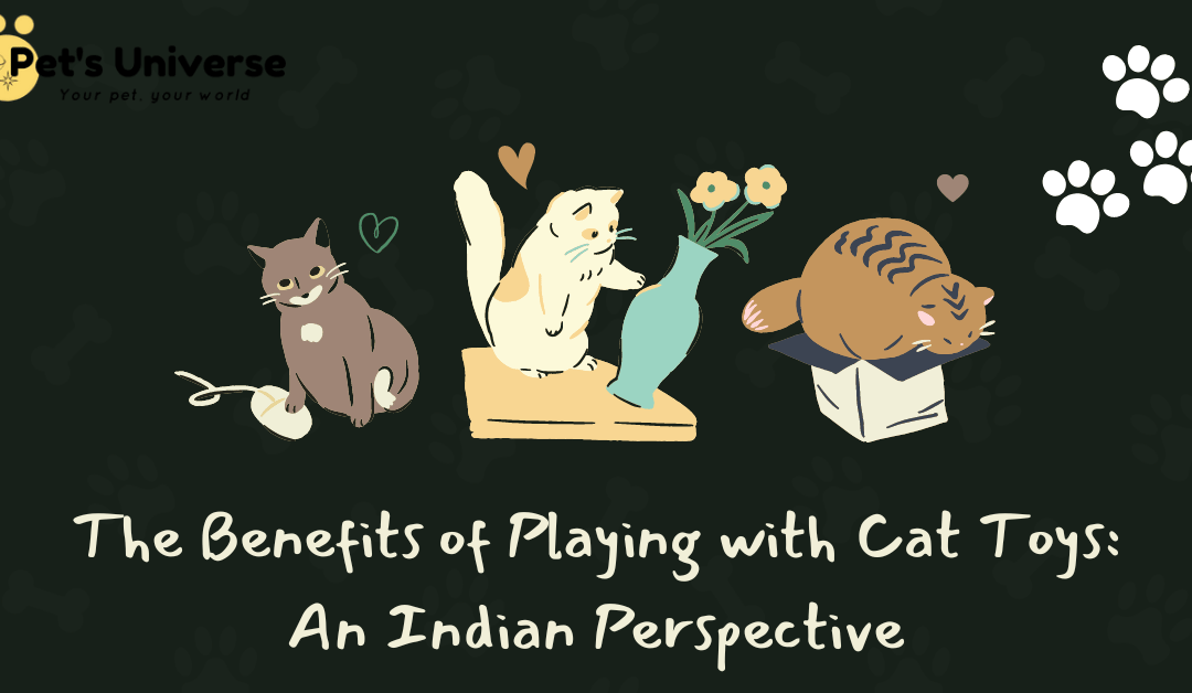 Cat Toys for Indoor Cats in India: Keeping Them Engaged and Stimulated