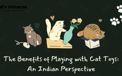 The Benefits of Playing with Cat Toys: An Indian Perspective