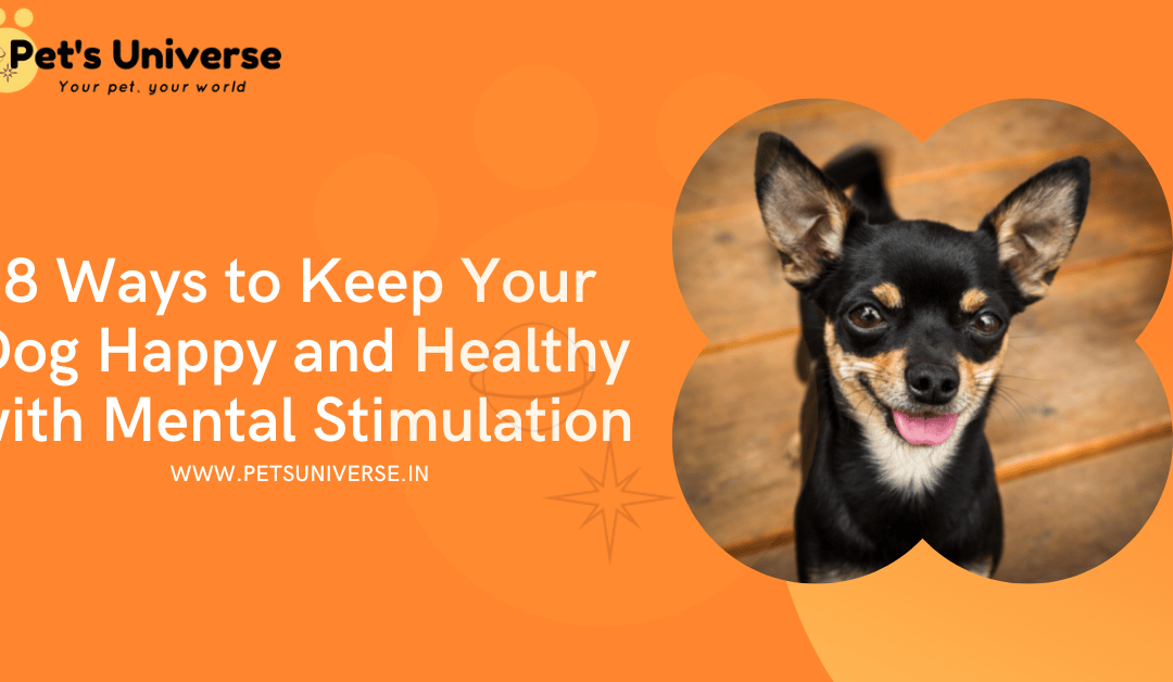 8 Ways to Keep Your Dog Happy and Healthy with Mental Stimulation