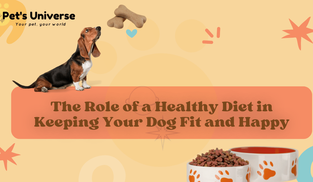 The Role of a Healthy Diet in Keeping Your Dog Fit and Happy