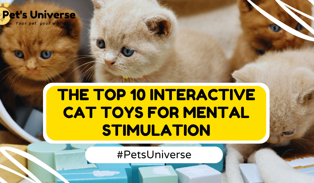 The Top 10 Interactive Cat Toys for Mental Stimulation: Featuring the Intellicat Toy