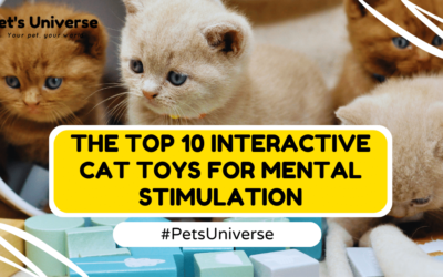 The Top 10 Interactive Cat Toys for Mental Stimulation: Featuring the Intellicat Toy