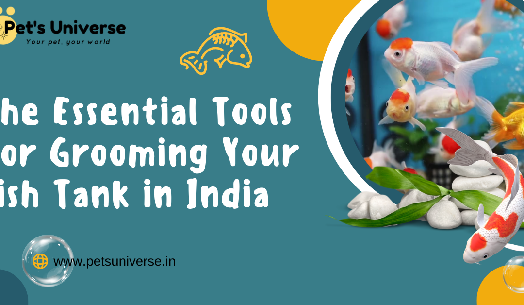 The Essential Tools for Grooming Your Fish Tank in India