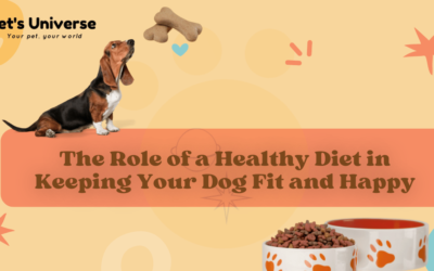 The Role of a Healthy Diet in Keeping Your Dog Fit and Happy