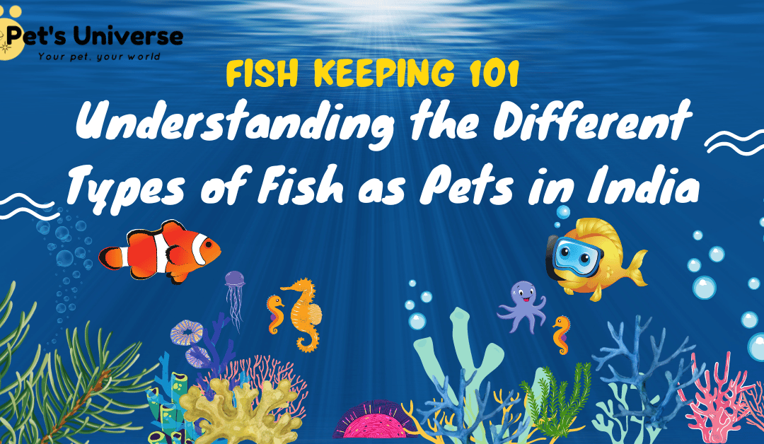 Fish Keeping 101: Understanding the Different Types of Fish as Pets in India