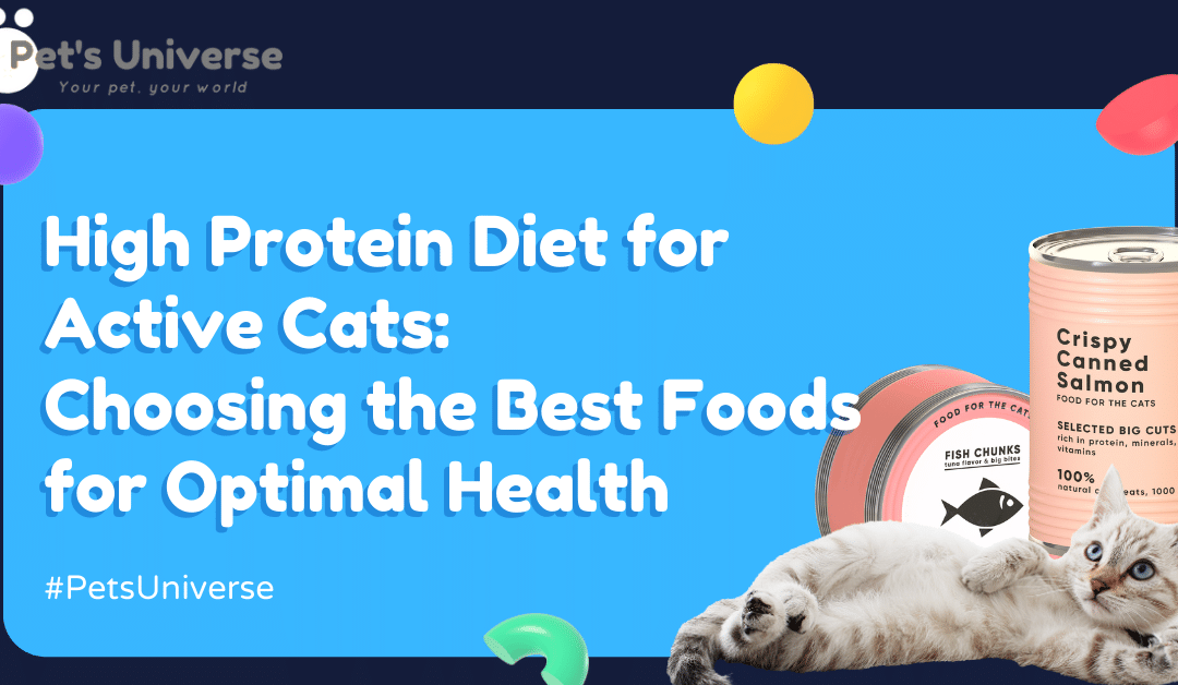 High Protein Diet for Active Cats: Choosing the Best Foods for Optimal Health