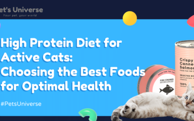 High Protein Diet for Active Cats: Choosing the Best Foods for Optimal Health