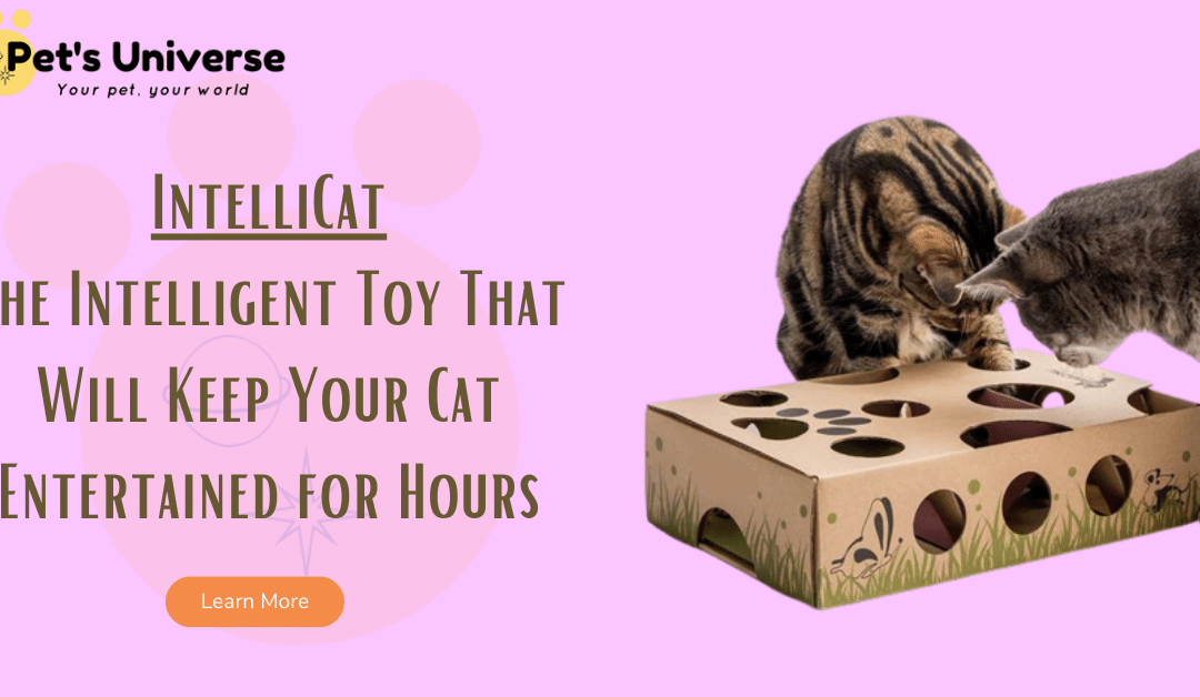 IntelliCat: The Intelligent Toy That Will Keep Your Cat Entertained for Hours