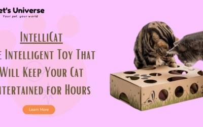 IntelliCat: The Intelligent Toy That Will Keep Your Cat Entertained for Hours