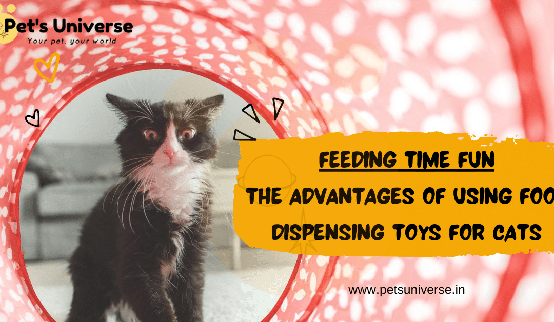 Feeding Time Fun: The Advantages of Using Food Dispensing Toys for Cats