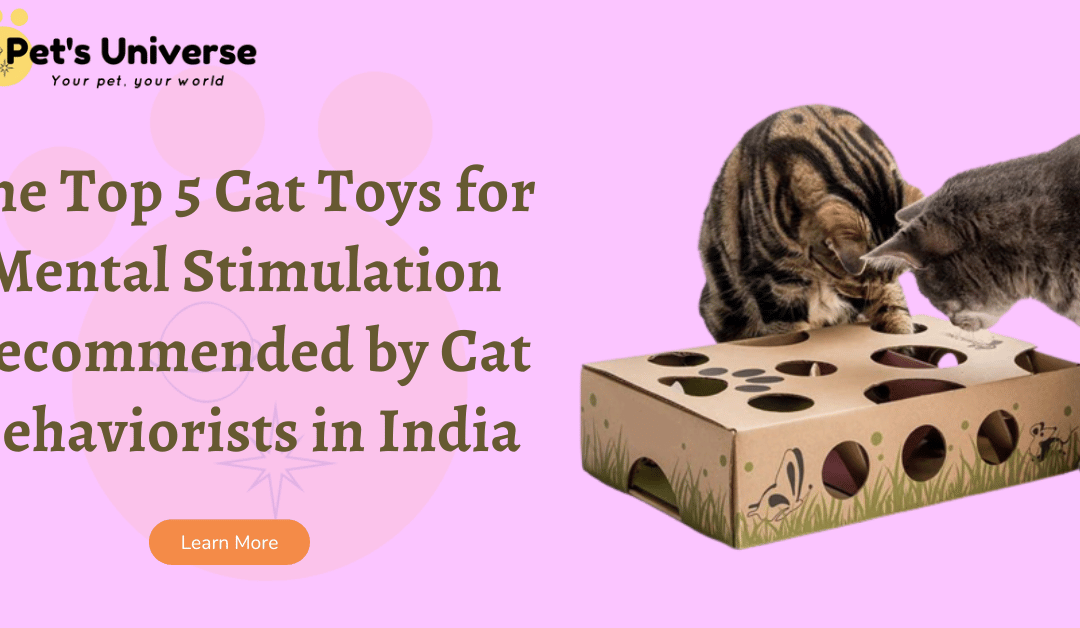 The Top 5 Cat Toys for Mental Stimulation Recommended by Cat Behaviorists in India