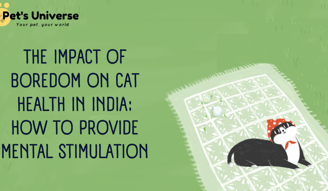 The Impact of Boredom on Cat Health in India: How to Provide Mental Stimulation